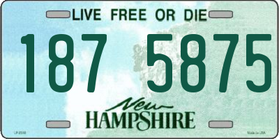 NH license plate 1875875
