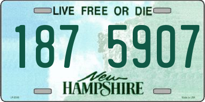 NH license plate 1875907