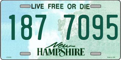 NH license plate 1877095