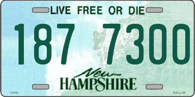 NH license plate 1877300