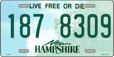NH license plate 1878309