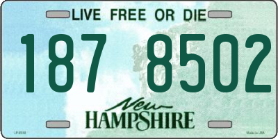 NH license plate 1878502