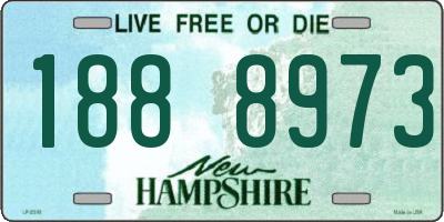 NH license plate 1888973