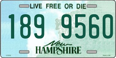 NH license plate 1899560