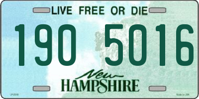 NH license plate 1905016