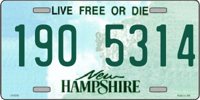 NH license plate 1905314