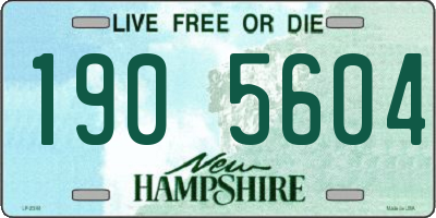 NH license plate 1905604