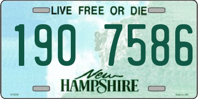 NH license plate 1907586