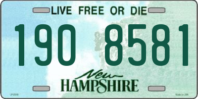 NH license plate 1908581