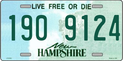 NH license plate 1909124