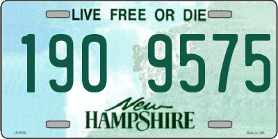 NH license plate 1909575