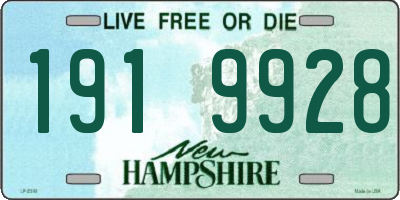 NH license plate 1919928
