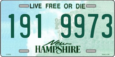 NH license plate 1919973