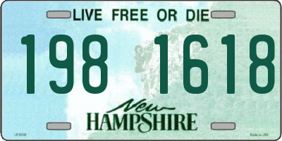 NH license plate 1981618