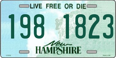 NH license plate 1981823
