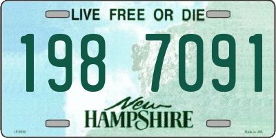NH license plate 1987091