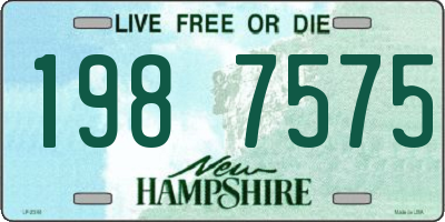NH license plate 1987575