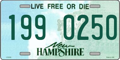 NH license plate 1990250