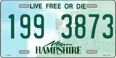 NH license plate 1993873