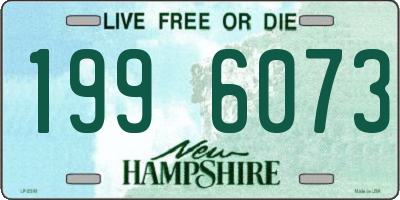 NH license plate 1996073