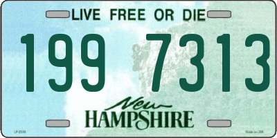 NH license plate 1997313