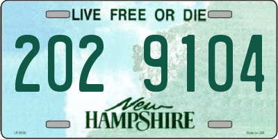 NH license plate 2029104