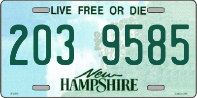 NH license plate 2039585