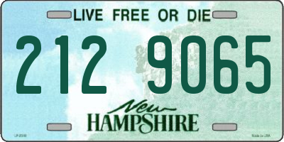 NH license plate 2129065