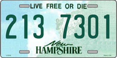 NH license plate 2137301