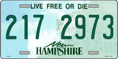 NH license plate 2172973