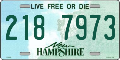 NH license plate 2187973