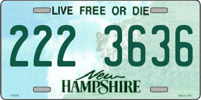 NH license plate 2223636
