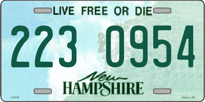 NH license plate 2230954
