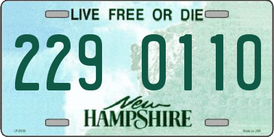 NH license plate 2290110
