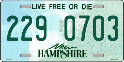 NH license plate 2290703