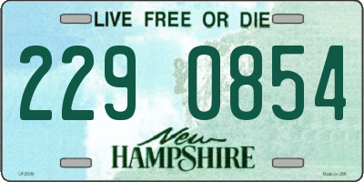 NH license plate 2290854