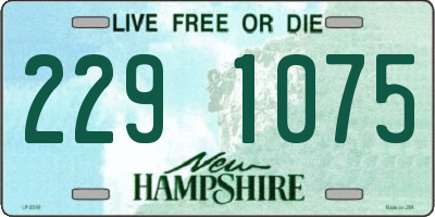 NH license plate 2291075