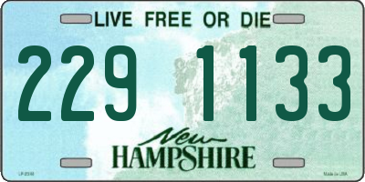 NH license plate 2291133