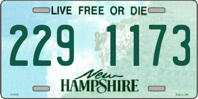 NH license plate 2291173