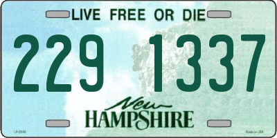 NH license plate 2291337