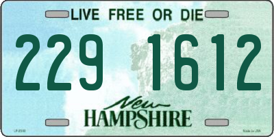 NH license plate 2291612
