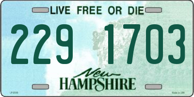 NH license plate 2291703