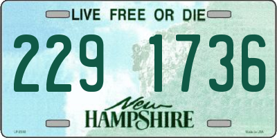 NH license plate 2291736