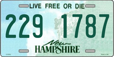 NH license plate 2291787