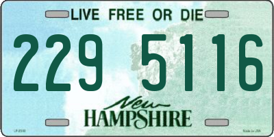 NH license plate 2295116