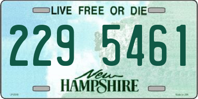 NH license plate 2295461