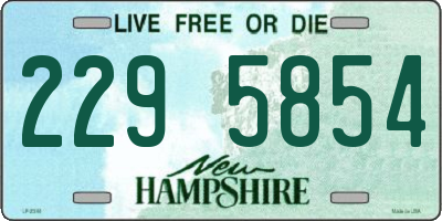 NH license plate 2295854