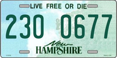 NH license plate 2300677