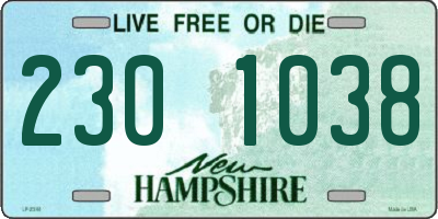 NH license plate 2301038