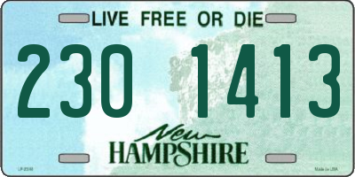 NH license plate 2301413